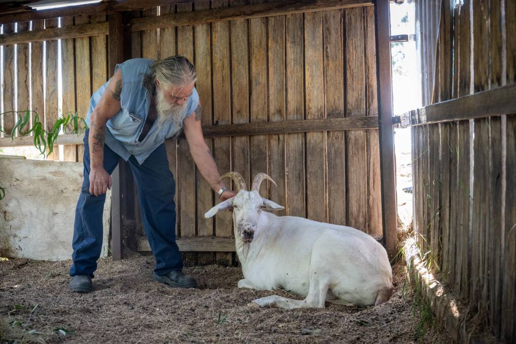 Mayfield resident Nick Biswell with his pet goat Bruno. Picture by Paul Scambler