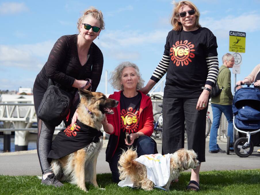 Yes campaigners Karen Mason, "Billie", Keryn Parkes, Lisa Walkden and "Bobi". Picture by Rod Thompson