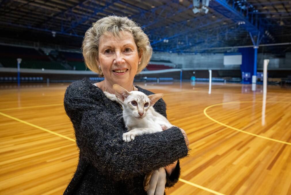 Sheryl Hay of Launceston with her cat, Sooteika Annika Sakura, a member of the Tasmanian Feline Association, who will compete in the upcoming National Cat show at Silverdome. Photo by Paul Scambler