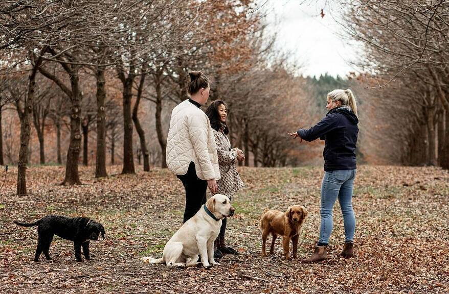 The Truffle Farm is one of the producers taking part in TrailGraze. Picture supplied by Ness Vanderburgh