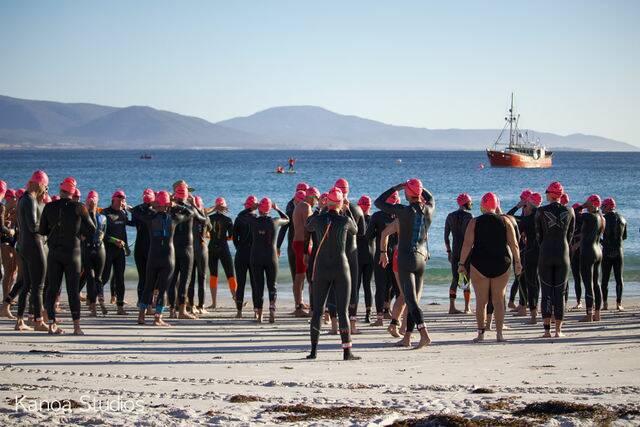 Participants beginning the five kilometre course for Devil of a Swim in Bicheno. Picture supplied