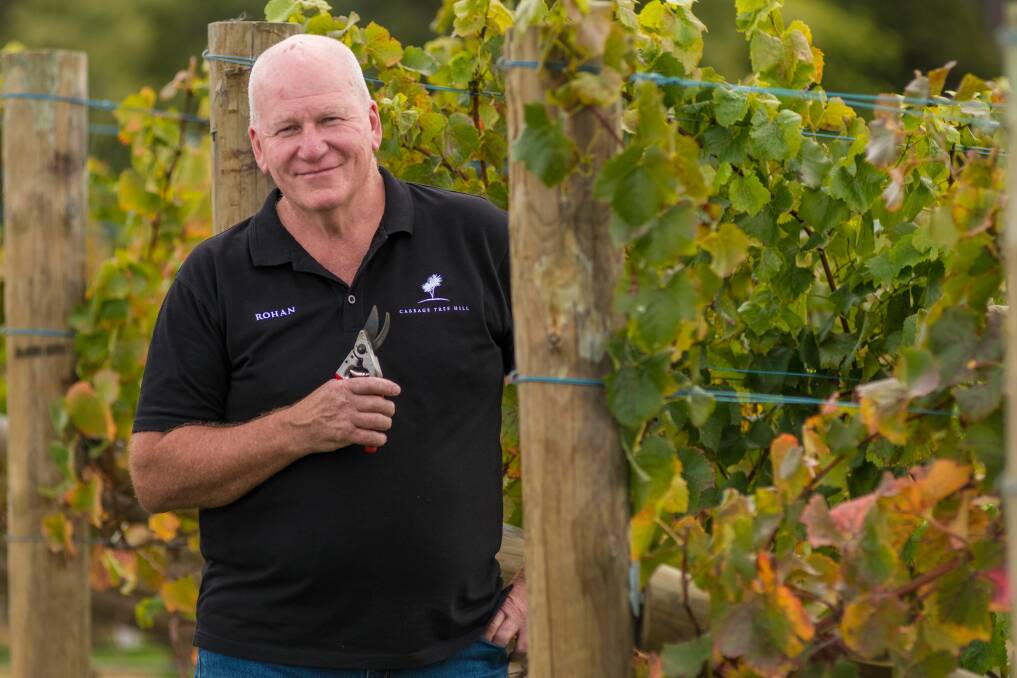 MIDAS TOUCH: Rohan Hirst at his Cabbage Tree Hill vineyard which won gold medals and trophies at the recent Tasmanian Wine Show. Picture: Phillip Biggs