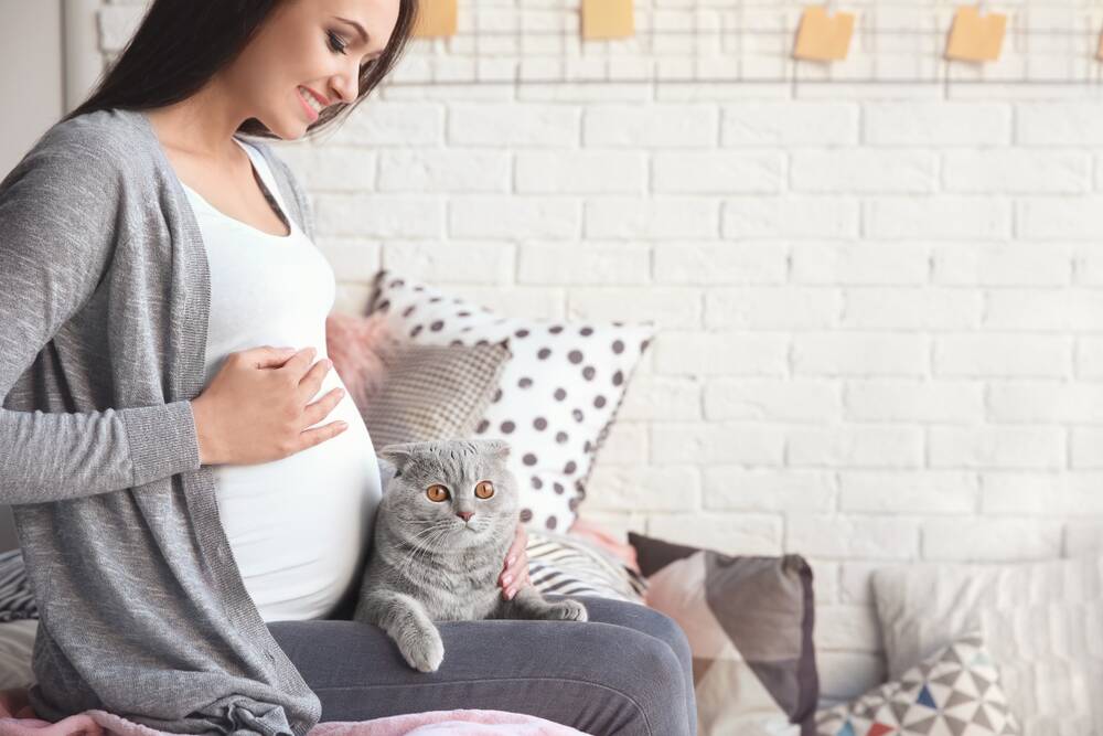 KNOWLEDGE: Many people have already beaten the toxoplasma infection, and it's important to assess the level of risk before making a decision about your cat.