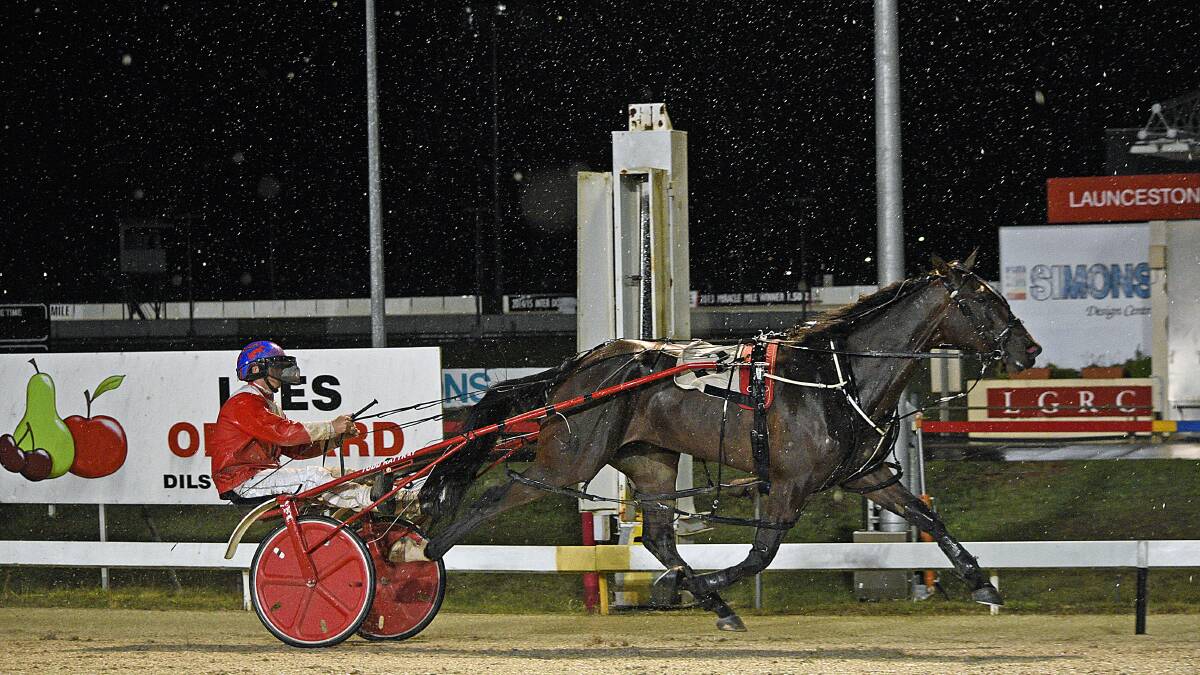 SHOWERED IN GLORY: Harjeet, trained and driven by Todd Rattray stormed home in his heat on Sunday night in Launceston in wild conditions. His next goal is the $75,000 Group 3 Easter Cup.