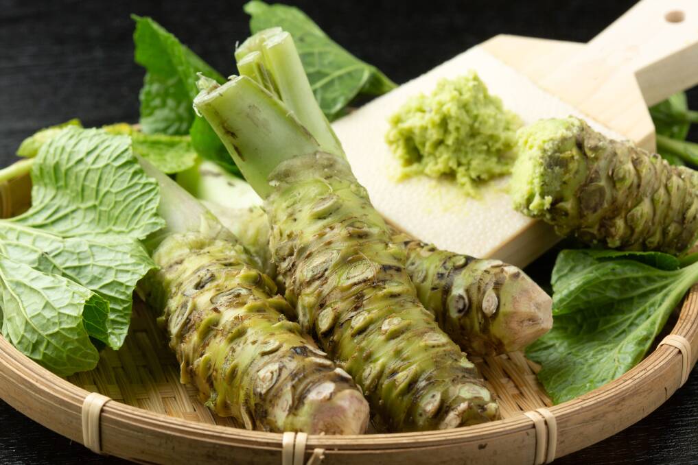 Put some bite in your culinary creations with home-grown wasabi.