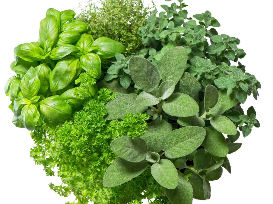 There's always room for herbs in your garden and your kitchen, improving your health and your cooking.