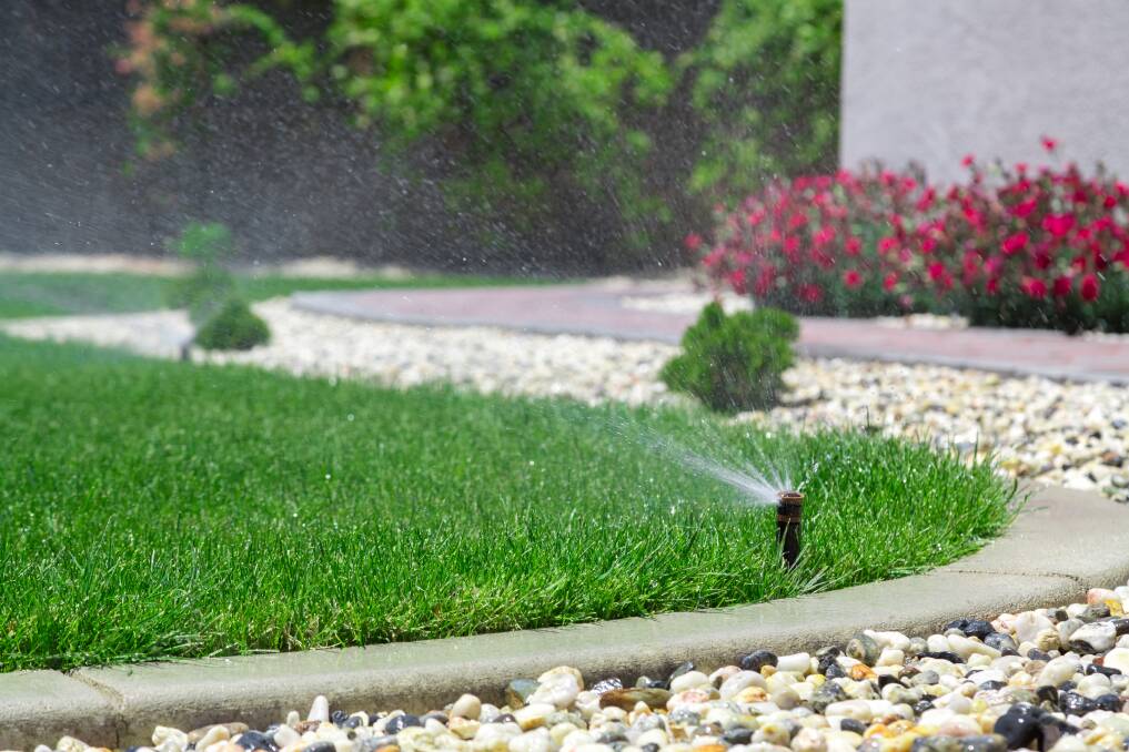 Tired lawns will benefit from a good feed and aeration to improve water penetration.