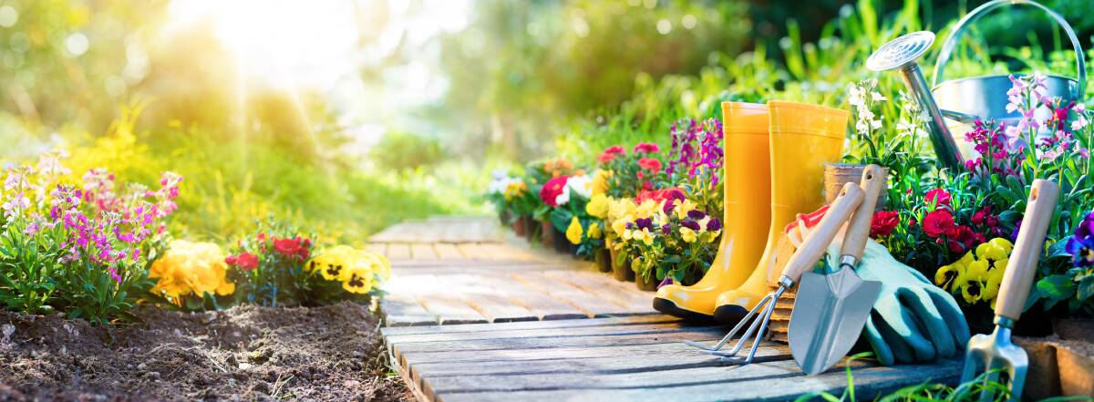 GETTING BUSY: Now spring has arrived, there are lots of tasks that must be done to keep plants happy and healthy.