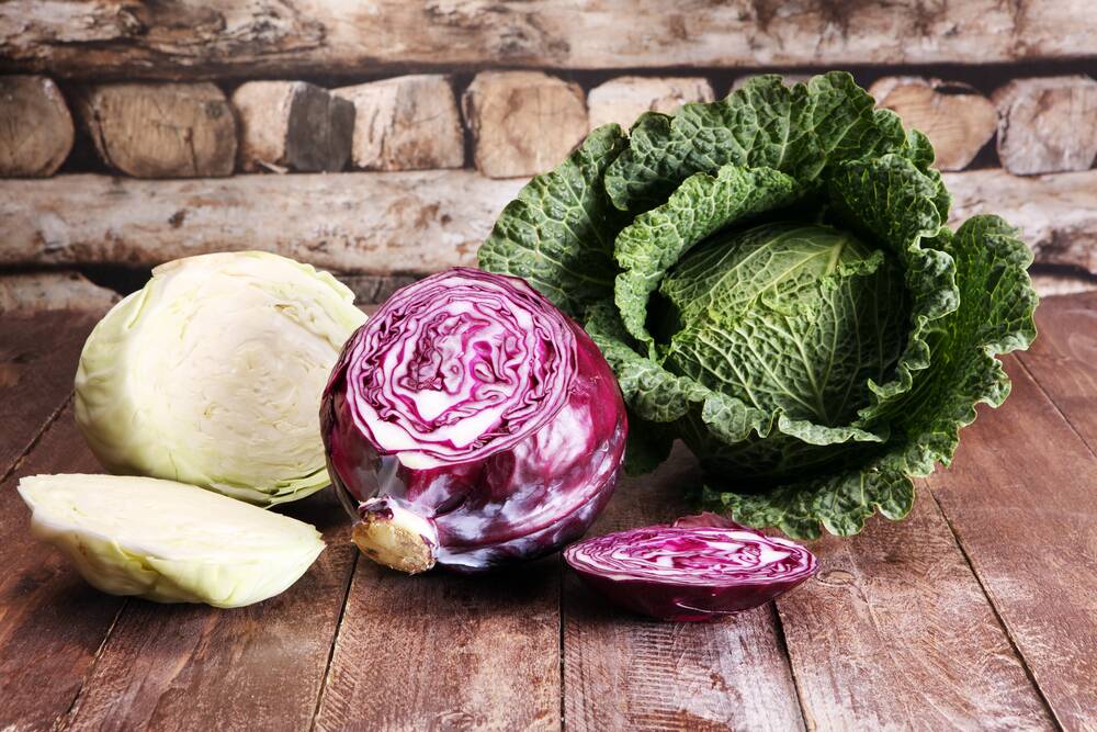 Versatile cabbages come in a wide variety of shapes, sizes and colours.