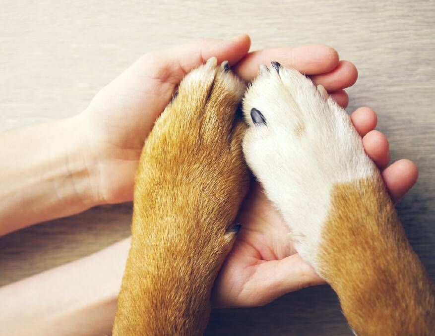 I GOT YOU: Caring for our pets means providing for all of their needs.