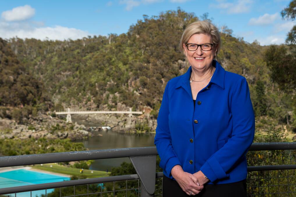 TIME TO CELEBRATE: Tasmanian Liberal senator Wendy Askew at the Gorge, just one of the state's many fabulous destinations, ready for visitors to explore during a COVID-safe festive season. Picture: Phillip Biggs