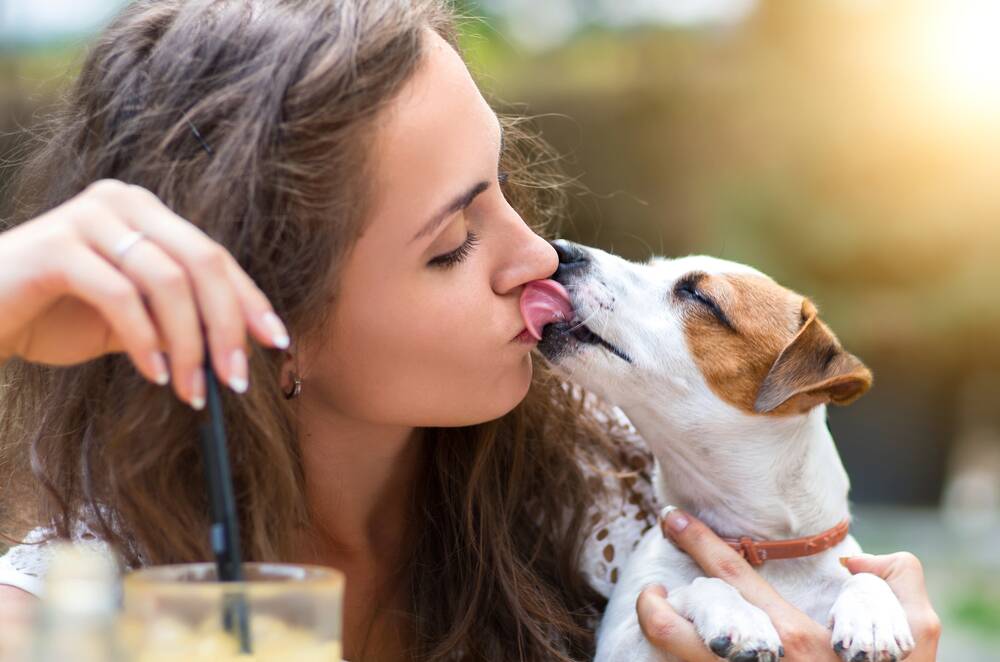 SHARING THE LOVE: While it is uncommon to catch diseases from your pets, some basic hygiene practices, like avoiding licking, help minimise the risk.