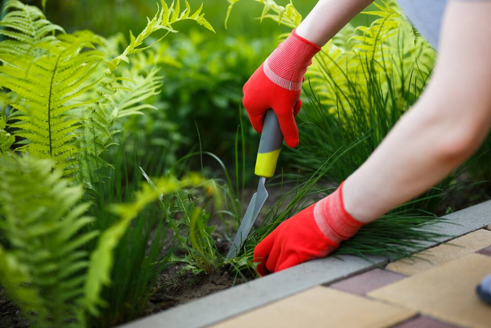 Hand weeding is a good way to clean up garden beds.
