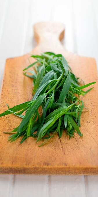 HERBALICIOUS: Versatile tarragon adds a delicate flavour to a range of dishes from fish to vegetables, but the seeds can be difficult to find. Cuttings may be an option.
