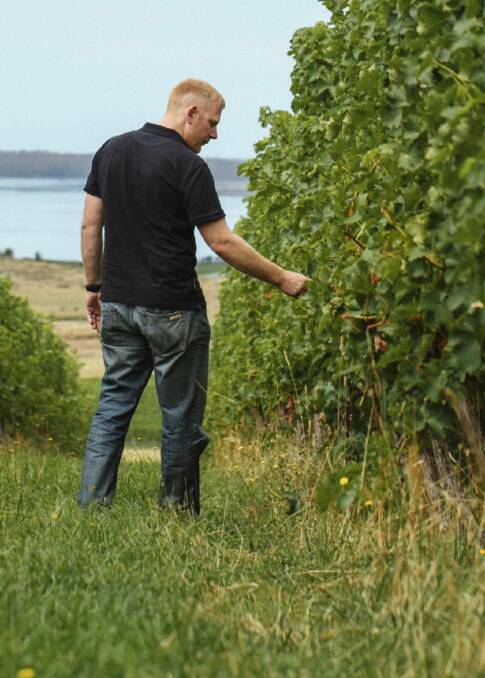 CHALLENGES: Brown Family Wine Group's award-winning Tom Wallace. Picture: Wine Australia