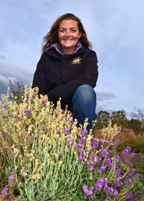 PROGRESS: Viticulturist Hannah McKay amid her insectarium at Cooinda Vale. Picture: Mark Smith
