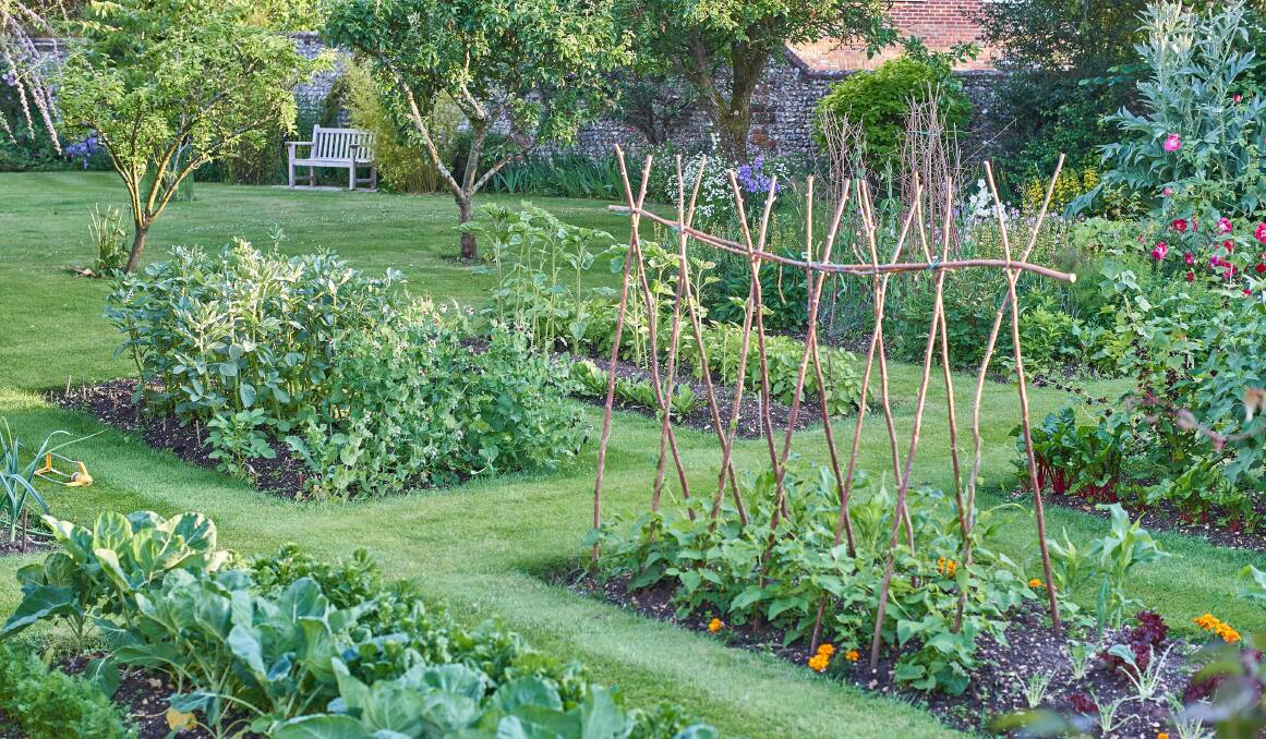 February is often the most productive time in the garden so it may need some extra attention.