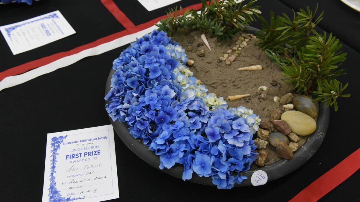 Beautiful blooms – Results from the Launceston Horticultural Society Show