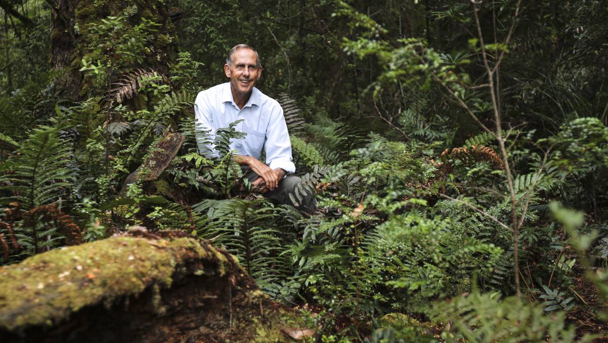 BIGGEST PETITION: The takayna/Tarkine petition tabled in the Senate was the largest ever received, and was supported by the Bob Brown Foundation and Patagonia. Picture: File photo