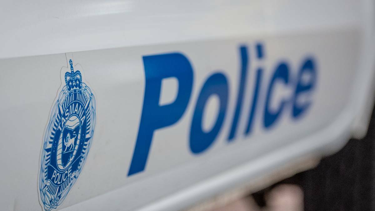 Two charged over alleged Scottsdale assault