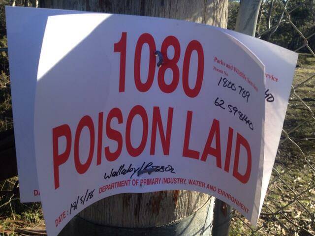 Central Highlands fly fishing guide Ken Orr is pushing for an inquiry into the use of 1080 poison. Picture: Ken Orr
