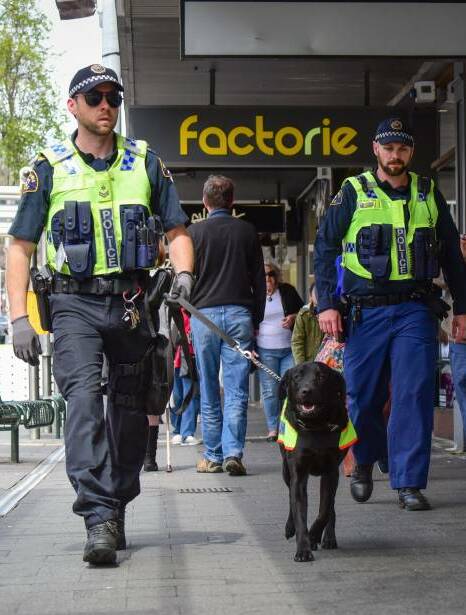 Police on patrol near Tatler Arcade with drug detector dog, Fang. 
