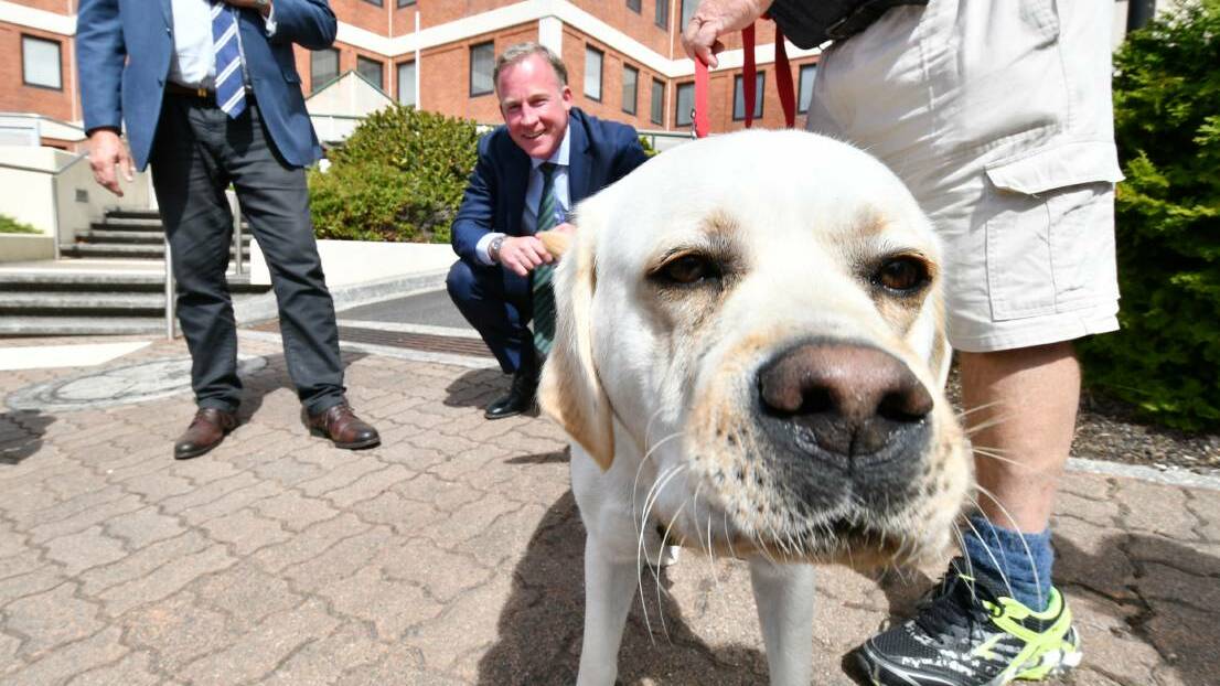 Drug dog 'Ollie' with Premier Will Hodgman on Monday. Picture: Brodie Weeding