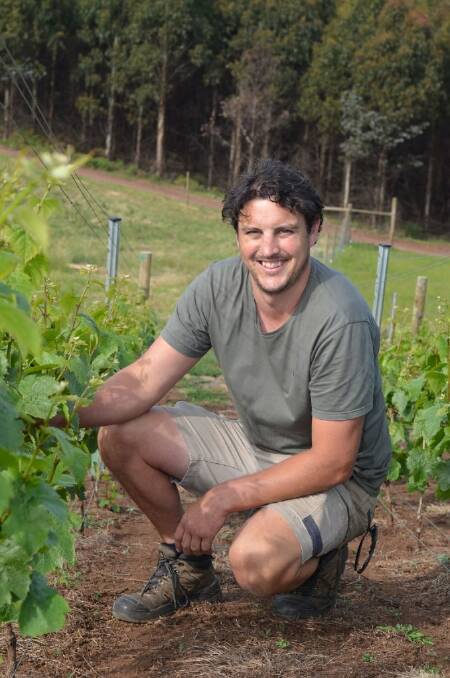 TRAGEDY: Sinapius Vineyard and Wine owner Vaugh Dell has been remembered as a passionate and intelligent winemaker after he died suddenly last week.