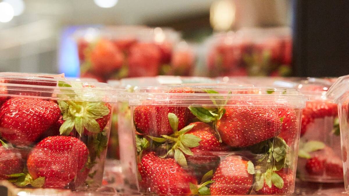No information to suggest needle in strawberry was a hoax: police