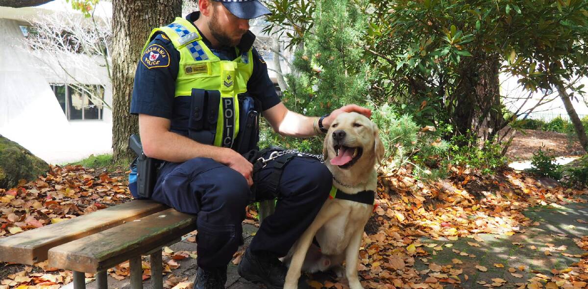 Senior Constable Jareth Anderson from Tasmania Police Dog Handlers Unit with two-year-old Labrador and drug detection dog Yardley.