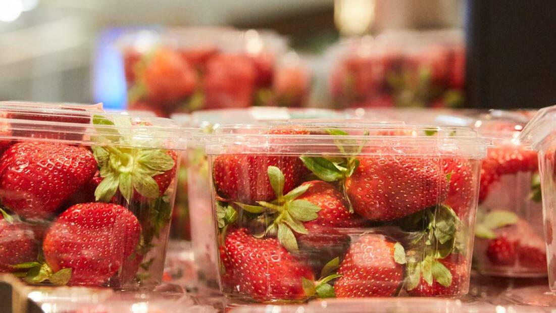 Two new cases of fruit contamination reported in Tasmania