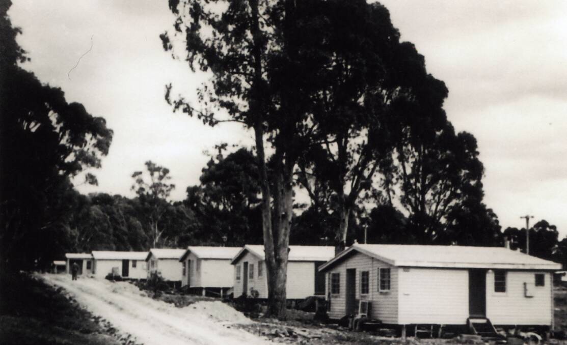 HOME SWEET HOME: Hydro homes at Bronte Park in 1949. 