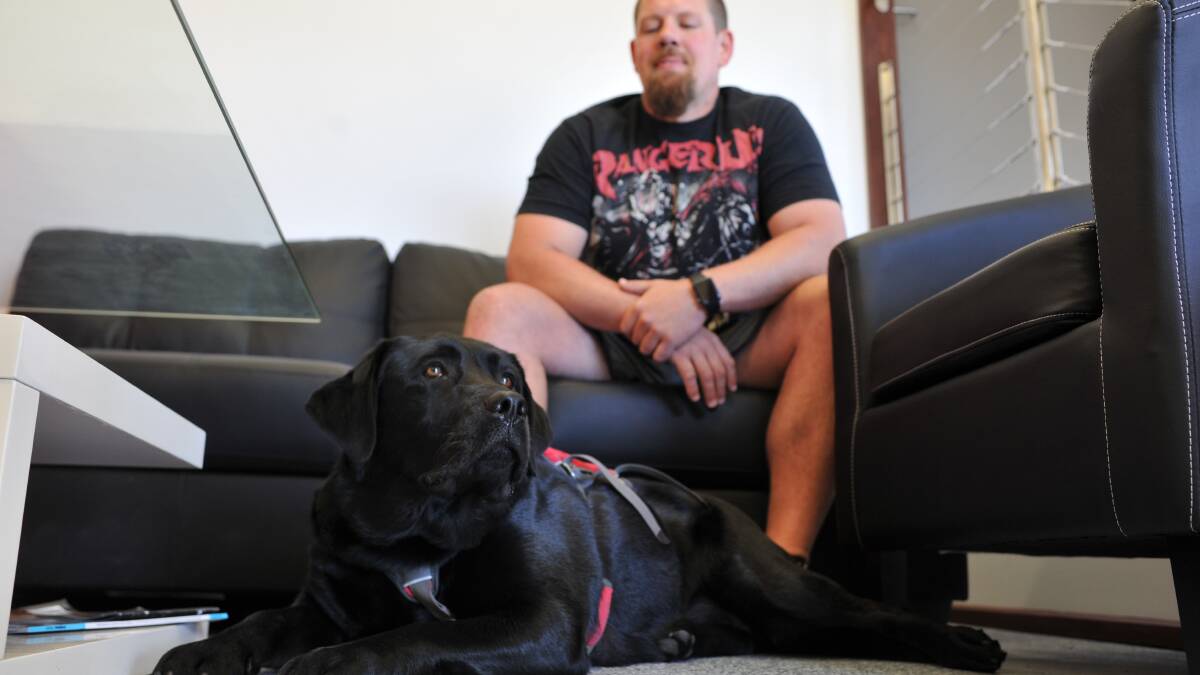 Veteran’s push to support service dogs