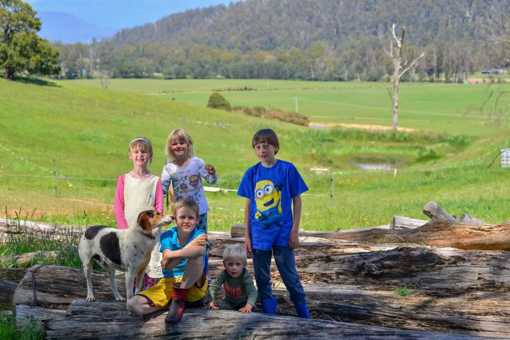 BRAVE BOY: The Scott family kids at their Deloraine property. Jaden (front), Shaylee, Kiraley, Tylen, Ethan and Bowza the dog. Jaden was bitten by a snake while the kids played in the dam in the background. Picture: Phillip Biggs 
