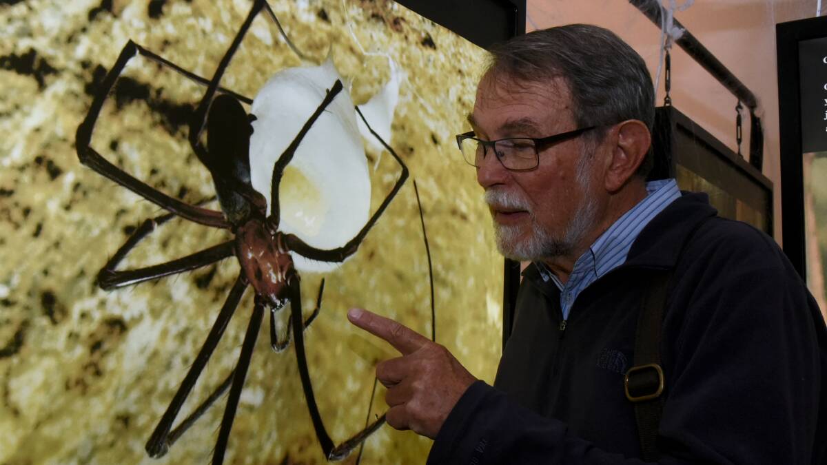  Dr Alastair Richardson at the spider exhibition at QVMAG. Photo: Neil Richardson 