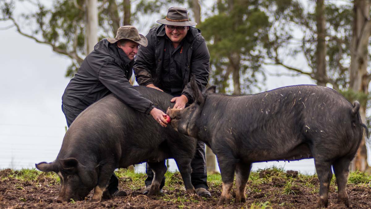 Fork It Farm’s Pig-Out Spring Day Out to take place on Sunday