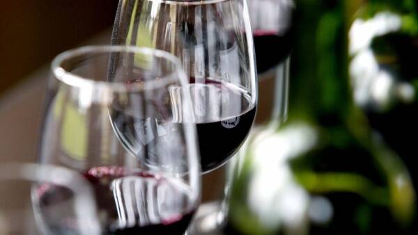 Wine, Eats, and Beats at Pipers Brook Vineyard