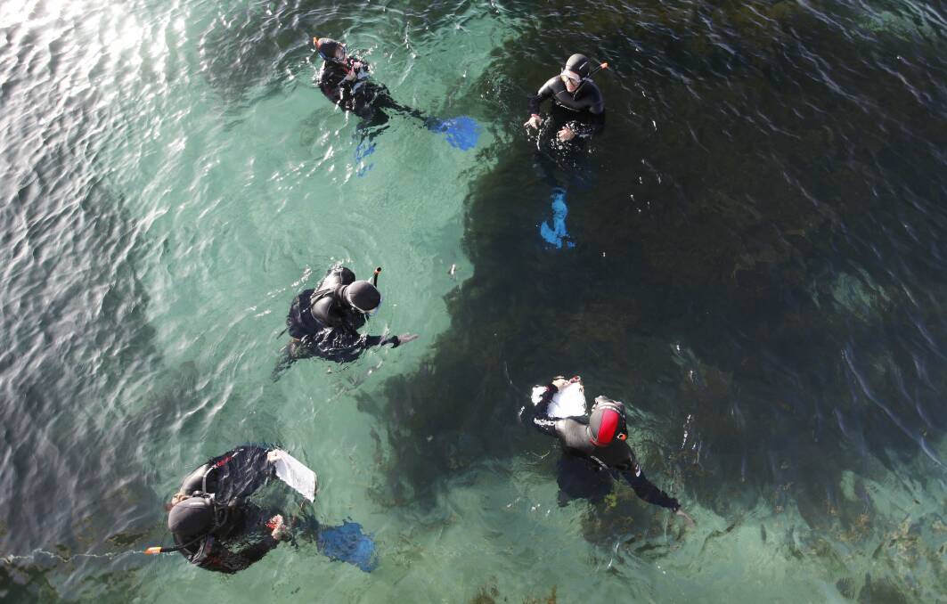EXPERIENCE: Students studying the waters around Maria Island on the state's East Coast. Picture: supplied