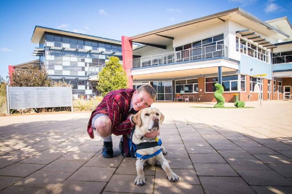 PUPPY LOVE: Year 8 student Jonathan Clark with Guide Dog Ambassador Dexter at Scotch Oakburn Middle School. Jonathan aims to raise $35,000 for Guide Dogs Tasmania. Picture: Jasper da Seymour.