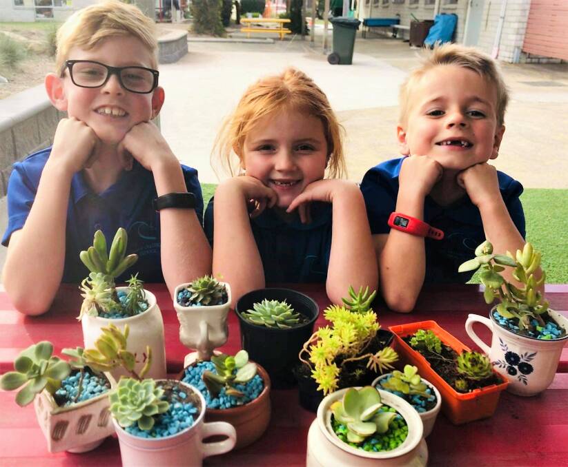 CREATIVITY: Pupils Floyd Groves, Edie Lewis, and Finlay Lovell preparing for their succulent stall at the upcoming school fair. Picture: supplied