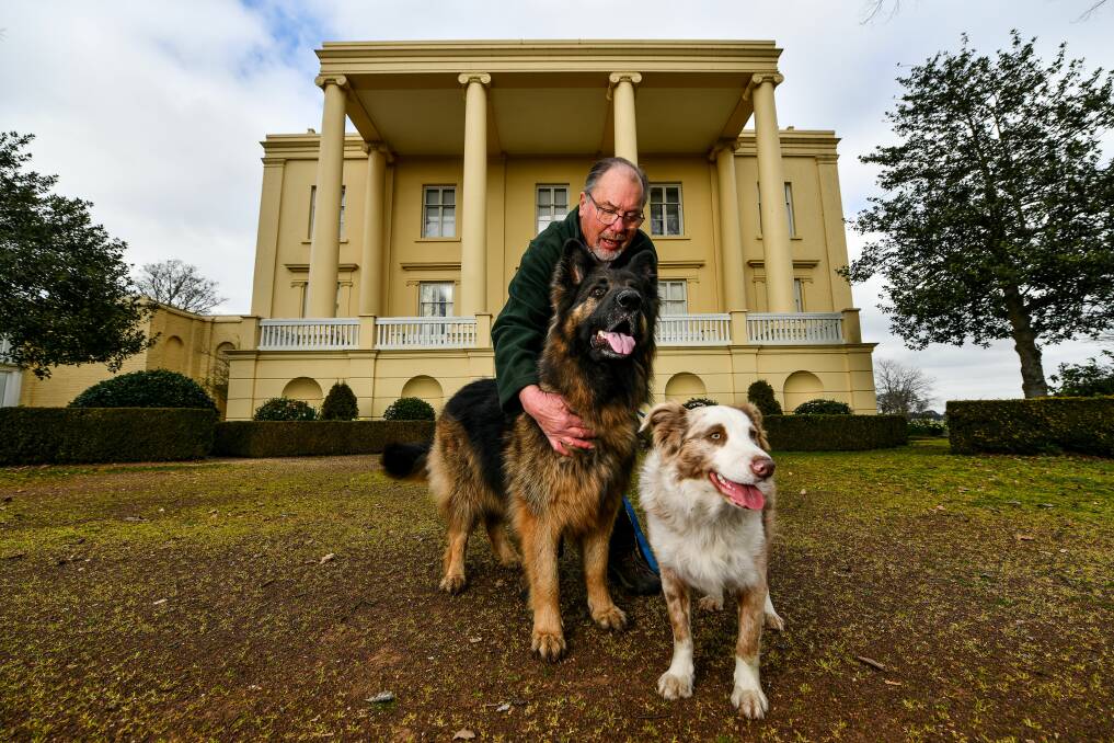WHO LET THE DOGS OUT: Volunteer Alan Milson with Bane the German Shepherd and Hugo the Border Collie at Clarendon House. Picture: Scott Gelston