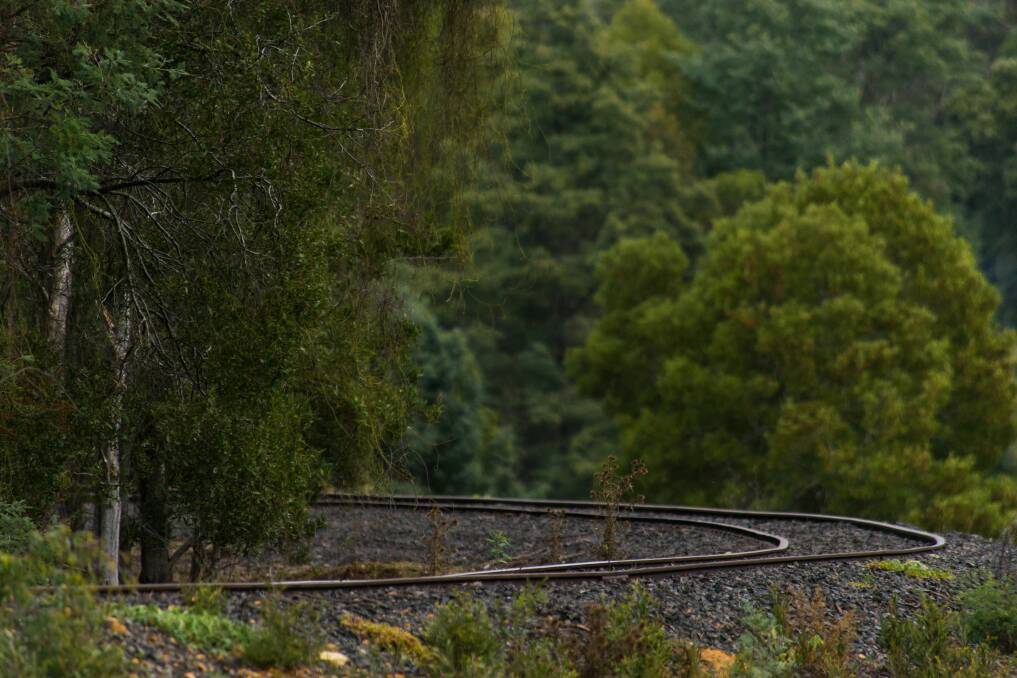 PICTURESQUE: Tracks in Tasmania's North-East, beside Golconda Road between Lebrina and Golconda. Picture: Phillip Biggs