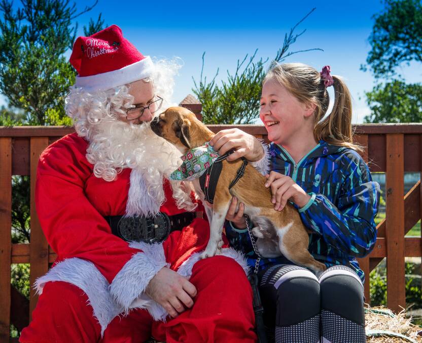 HAPPY HOWLIDAYS: Santa catches up with 11-year-old Lucy Smith and her one-year-old pugalier, Harry. Picture: Scott Gelston