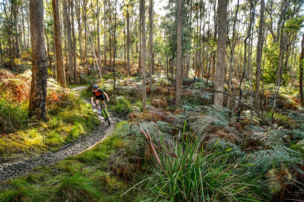 Opening date set for East Coast MTB trails