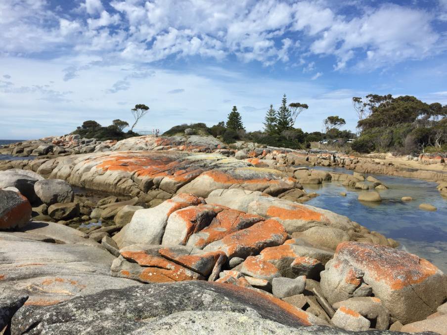 STUNNING: Volunteers will discover the Bay of Fires while helping rid the area of marine debris and sea spurge. Picture: Stefan Boscia