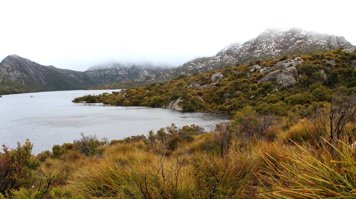 Private investors want the federal government to release funding pledged to an upgrade of Cradle Mountain's facilities, Tourism Industry Council Tasmania chief executive Luke Martin says.