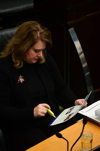 BOUQUETS AND BRICKBATS: Madeleine Ogilvie in Parliament. Picture: Paul Scambler.