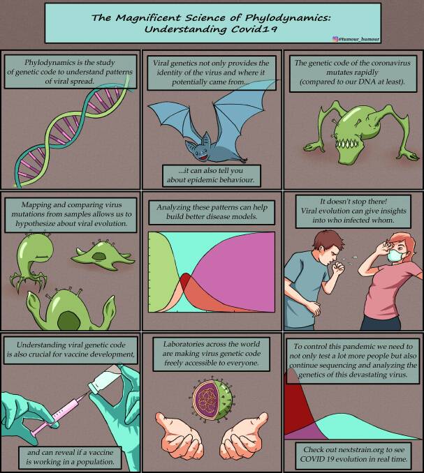 TRACKING: Dr Fountain-Jones has worked with artist Jai Sutton-Bassett to produce a comic introducing the public to phylodynamics and why understanding virus evolution can help fight COVID-19.
