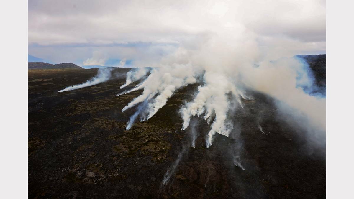 Climate change could affect regeneration after bushfires