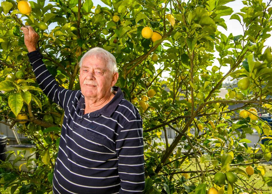 HAPPY: Ronald Geard at home with one of his fruit trees. Picture: Scott Gelston